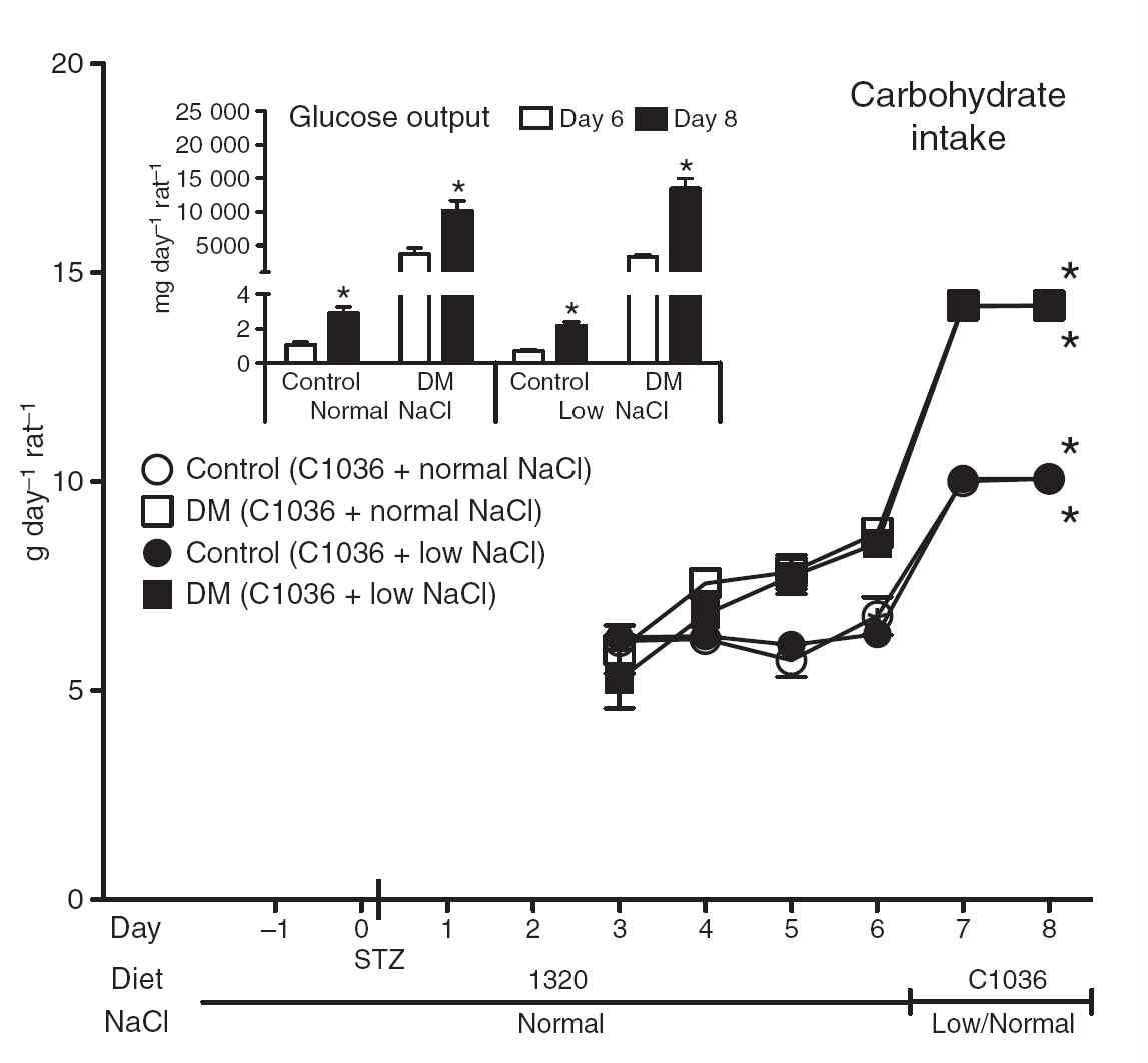 그림. 소변양은 당뇨쥐에서 carbohydrate 섭취와 관련이 있음을 관찰함.