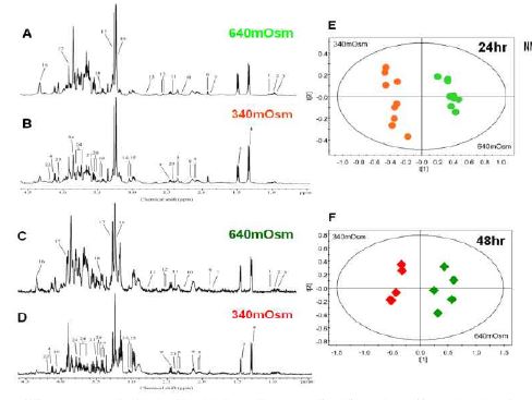 Figure1. H NMR spectra from IMCD cells extracts