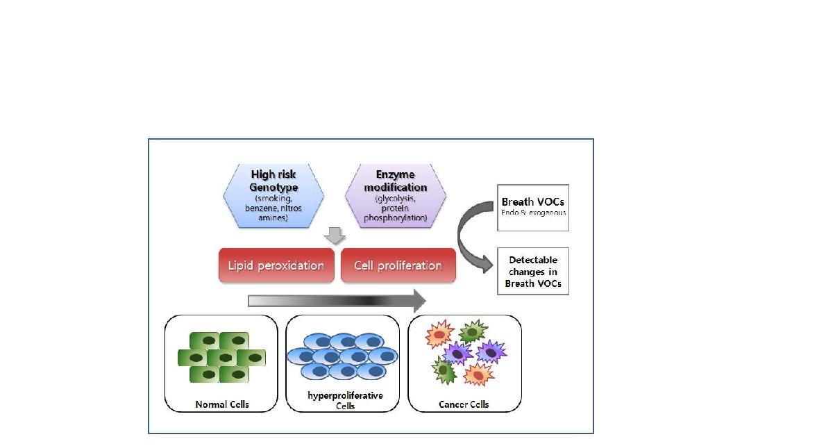 [그림 1. 암에서 Breath Test에 의한 VOCs의 검출 원리]