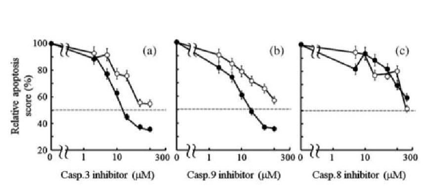 Fig. 2. A model for high LET radiation-induced p53-independent apoptosis
