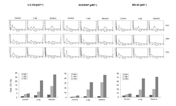 Fig. 6. Cell cycle analysis: 세포주에 따른 저전리 방사선과 고전리 방사선 조사