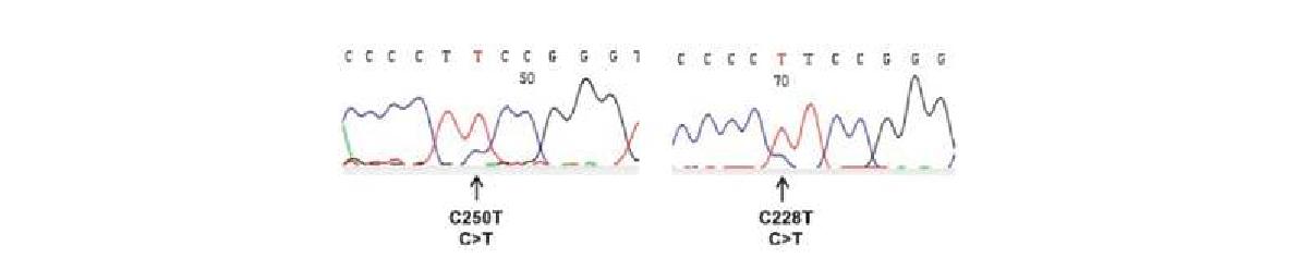 그림5. TERT promoter 부위의 유전자 변이