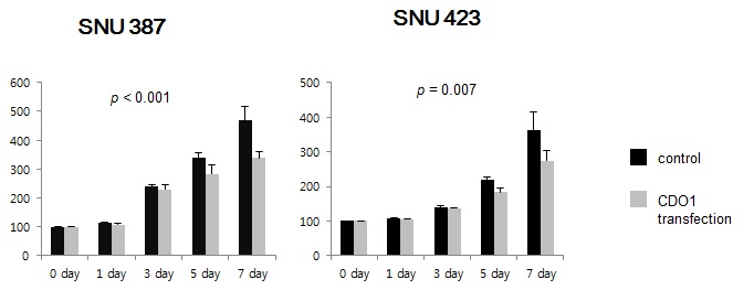 Figure 3. Cell proliferation assay. Cell proliferation is suppressed after CDO1 hyperexpression in both cell lines compared to the control cell lines