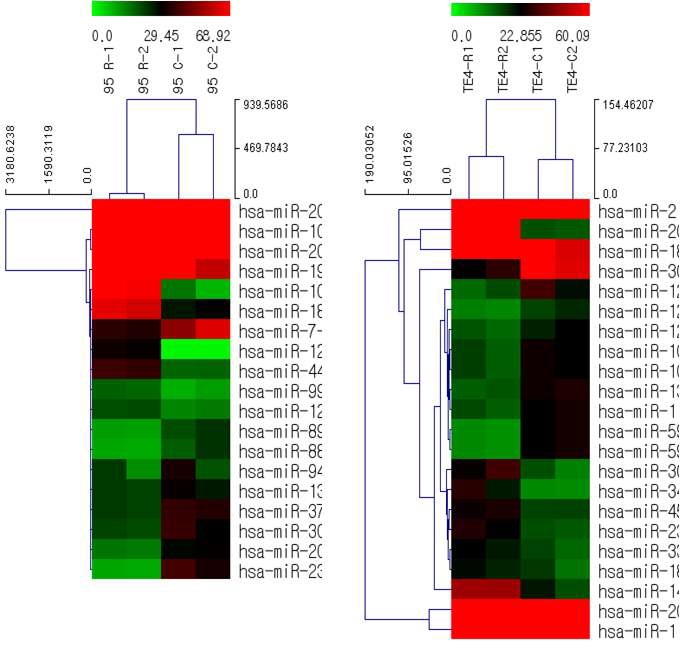 그림 1 radioresistance cell line에서 변화된 miRNA분석