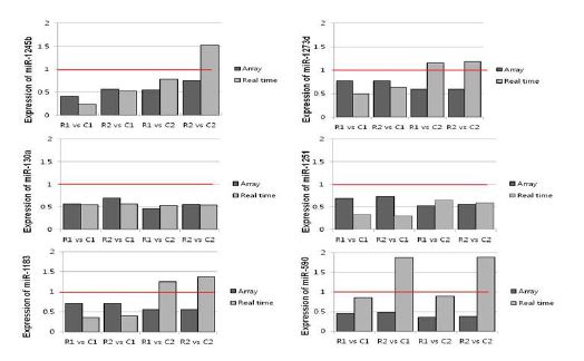 그림 2 Real-time PCR을 이용한 miRNA validation