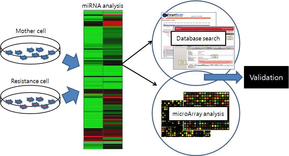 그림 4 miRNA target gene analysis strategy