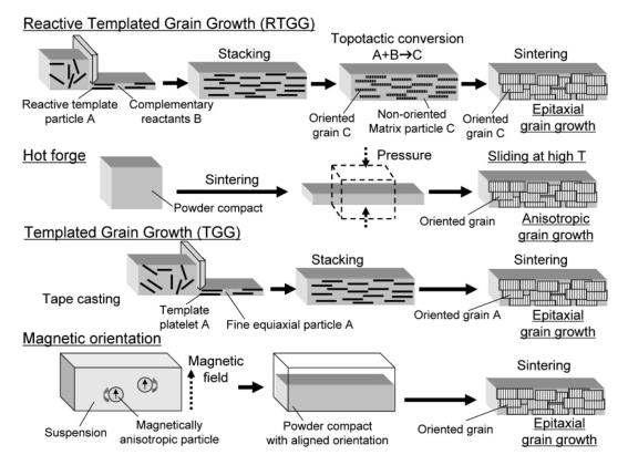 RTGG법과 기타 입자배향 기술 비교 모식도
