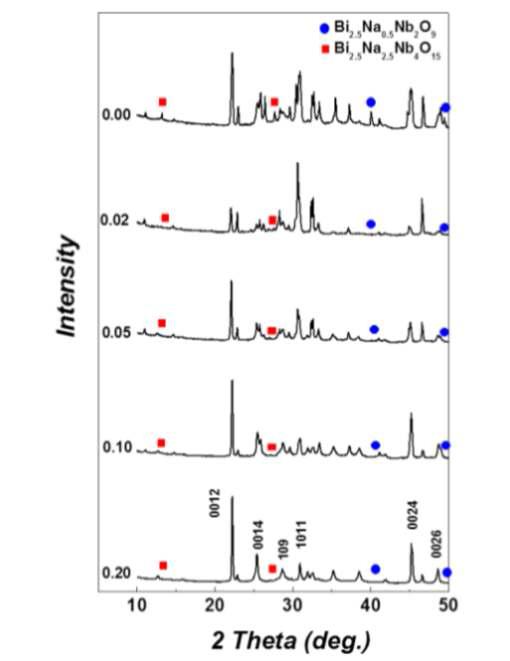 x mol (x = 0~0.20)의 Na2CO3가 과잉 첨가된 BNN 분말의 XRD회절 패턴.