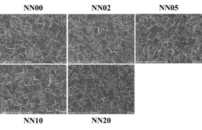 NN template를 사용하여 tape casting 방법으로 제작한 NKLNT 세라믹의 표면 SEM 이미지.