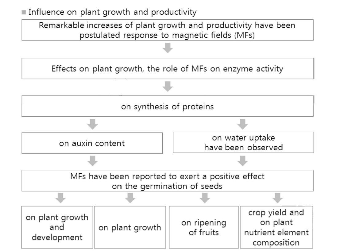 밀리미터파가 식물의 성장 및 생산에 미치는 영향
