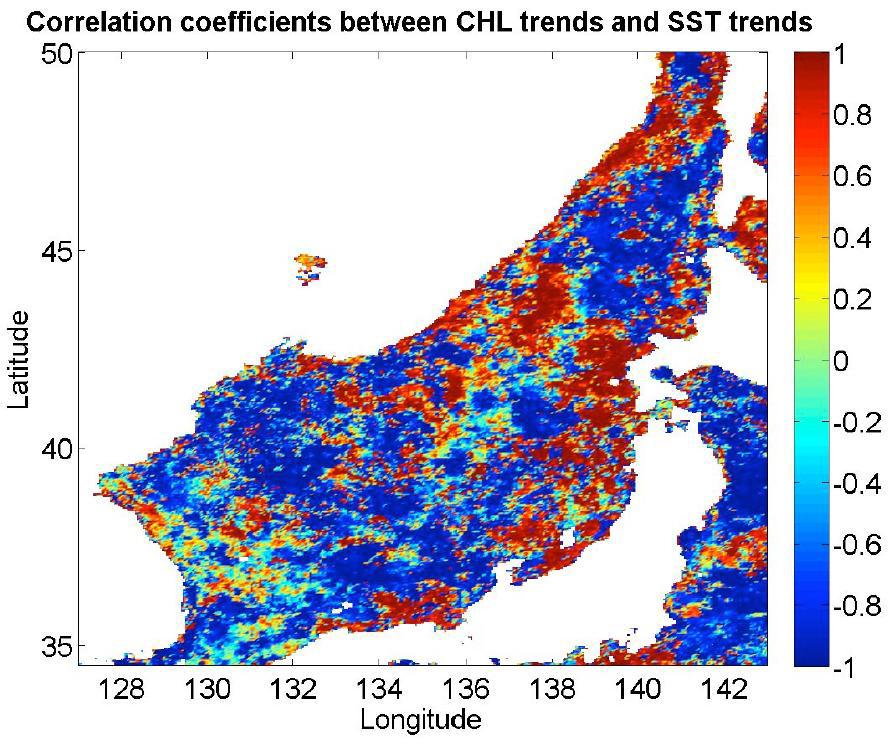 Correlation between Chlorophyll-a density and non-linear Sea Temperature