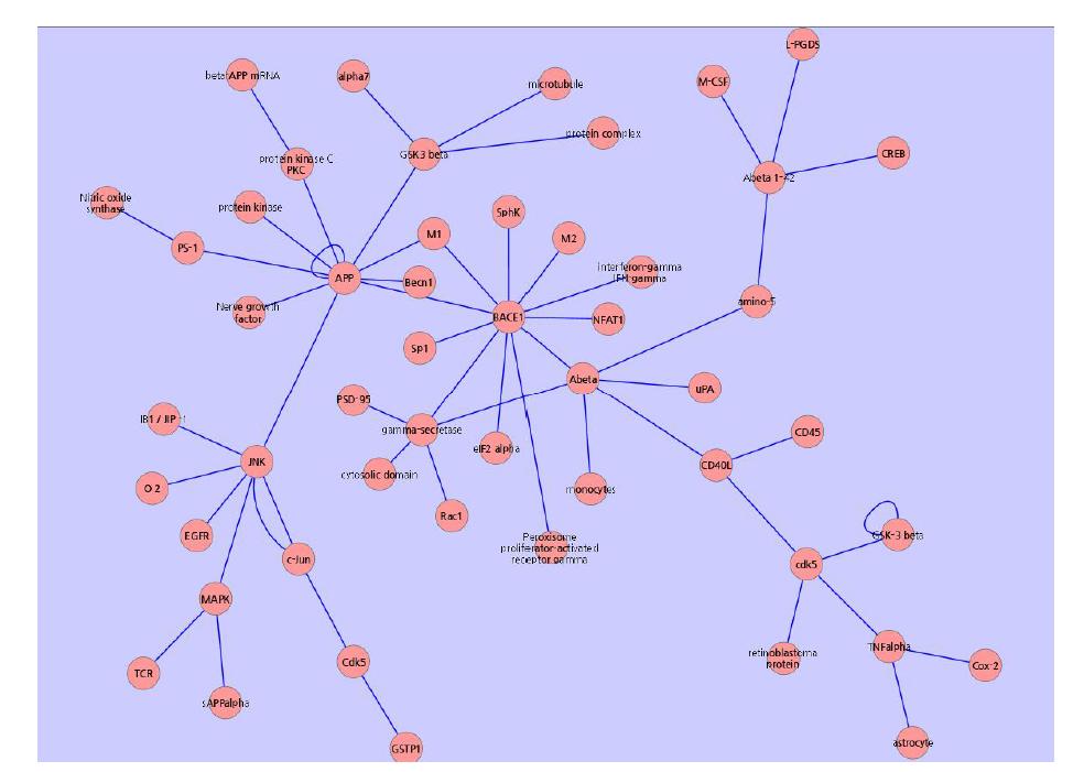 알츠하이머병의 관련 생물학적 네트워크 모델
