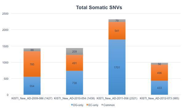Somatic SNV 분포