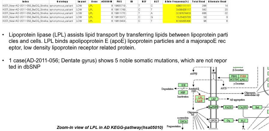 알츠하이머 환자에서 발견된 뇌 체성 SNVs 예 (Lipoprotein lipase (LPL) mutation)