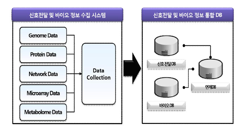 신호전달 및 바이오 통합 데이터베이스 구성도