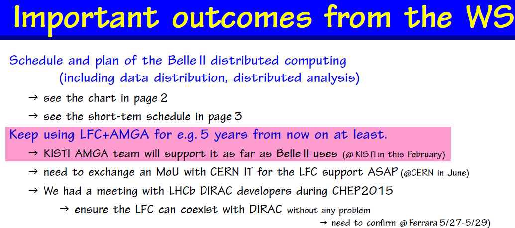 Important outcomes from the Belle II workshop