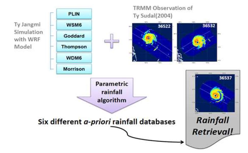 Overview of the study on the effect of microphysics scheme in passive microwave remote sensing over precipitation region.