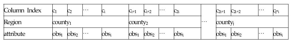 Columns of observation attributes from each county