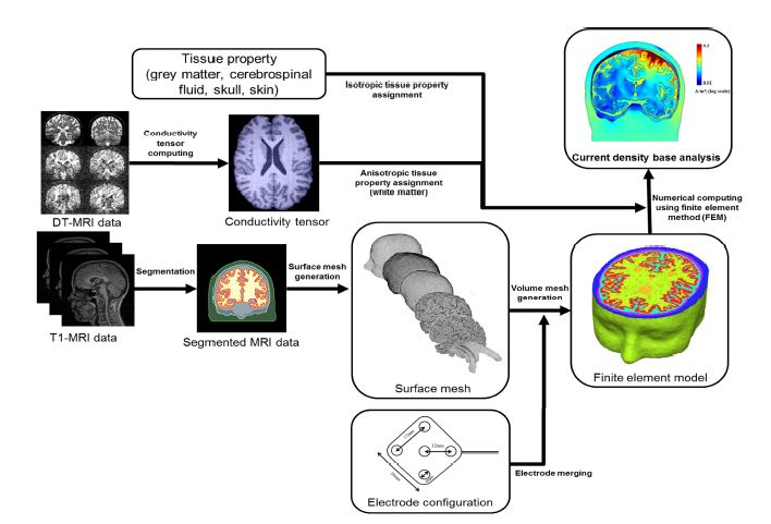 실제 인간의 MRI데이터를 이용한 뇌피질 전기자극의 예측방법