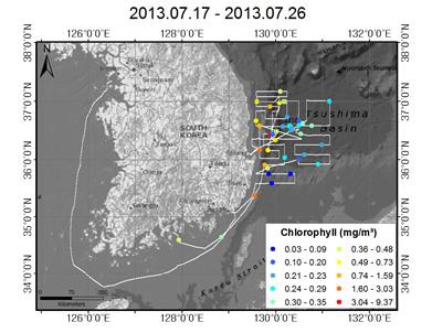 2013년 한반도 주변 해역 해양부유생물 농도