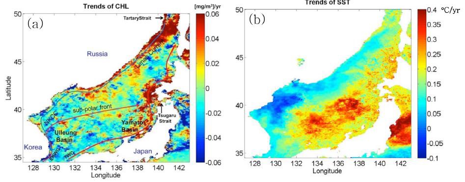 2003~2012년의 10년간 클로로필-a 농도(좌)과 해수표층온도(우)의 선형 추세