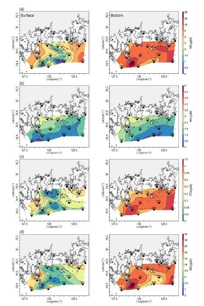 2015년 5월 표층과 저층에서의 (a) 질산염(NO3 ), (b) 암모늄(NH4), (c) 인산염(PO4 ), (d) 규산염(SiO2 ) 농도(uM)의 공간적 분포.