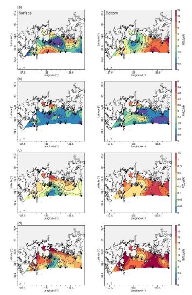 2015년 8월 표층, 저층에서의 (a) 질산염(NO3 ), (b) 암모늄(NH4 ), (c) 인산염(PO4 ) 그리고 (d) 규산염(SiO2 ) 농도(uM )의 공간적 분포.