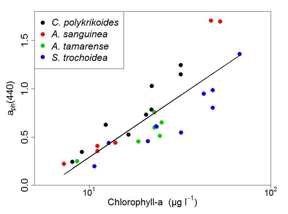 440nm에서의 흡광 계수와 엽록소 a 농도(ugl-1 )와의 관계.