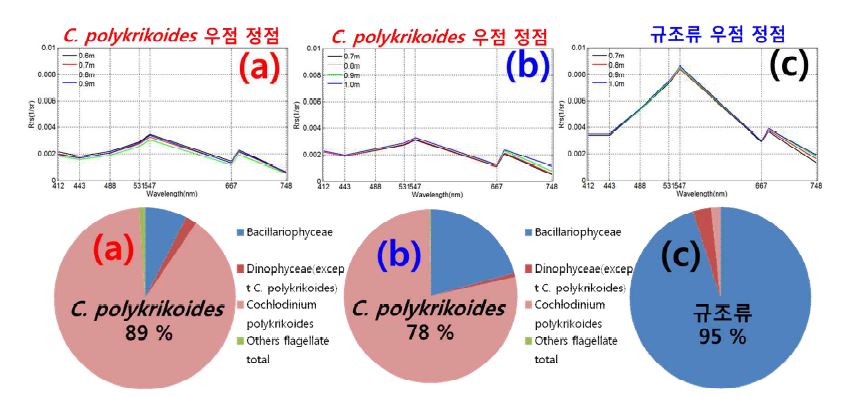 (a)와 (b) 정성·정량 분석 결과에서 C. polykrikoides가 우점 정점에서 관측된 반사도 스펙트럼과, (c) 정성·정량 분석 결과에서 규조류 우점 정점에서 관측된 반사도 스펙트럼 특징.