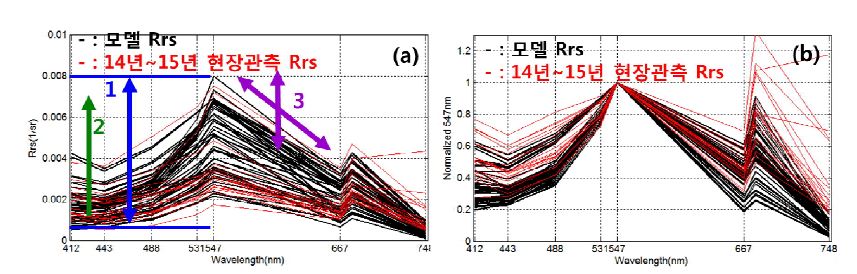 (a) Hydrolight simulation에서 계산된 C. polykrikoides 반사도 스펙트럼과 2014년과 2015년 적조 발생해역에서 관측된 스펙트럼 비교. (b) 모델 및 현장 적조 반사도를 547nm 파장으로 normalize한 스펙트럼.