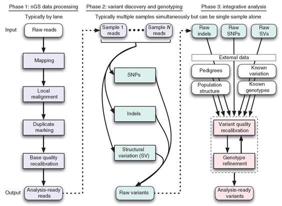 단일염기서열변이 발굴을 위한 대용량 유전체 분석 파이프라인 모식도