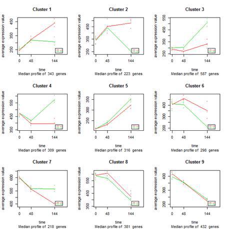 시계열에 따른 유전자 발현 패턴의 클러스터링 방법