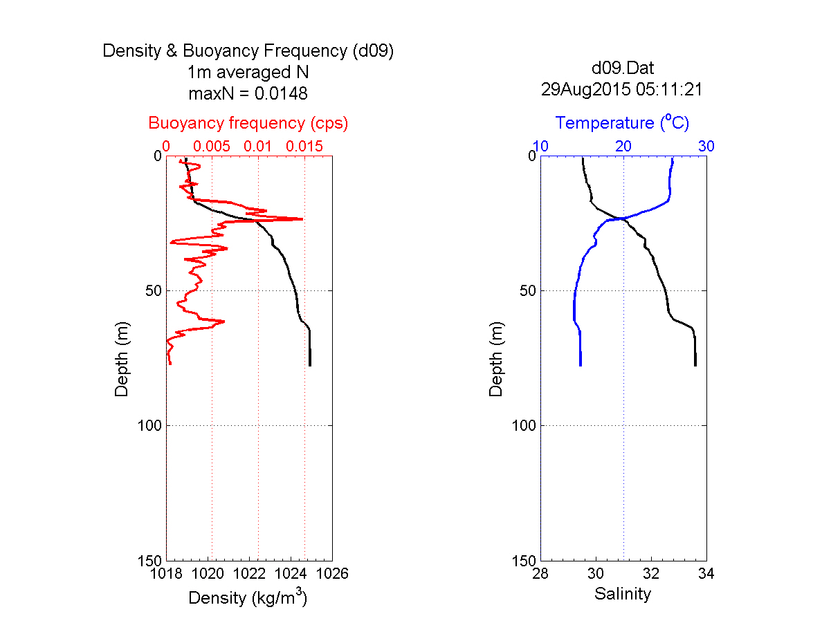d09 정점의 CTD 관측결과와 밀도, 부력진동수