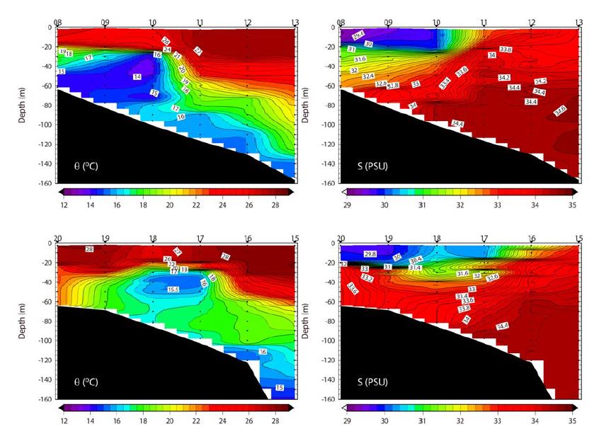 2015년 8월 수온 (좌)과 염분 (우)의 동서단면 수직구조. 조사해역 북쪽에서부터 각각 B (상), C (하) 단면이며, C는 ADCP가 설치된 (정점 18) 단면임.