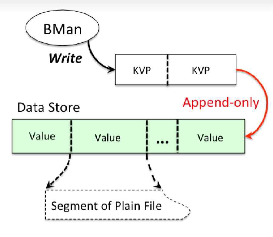 Log Structure Data Store