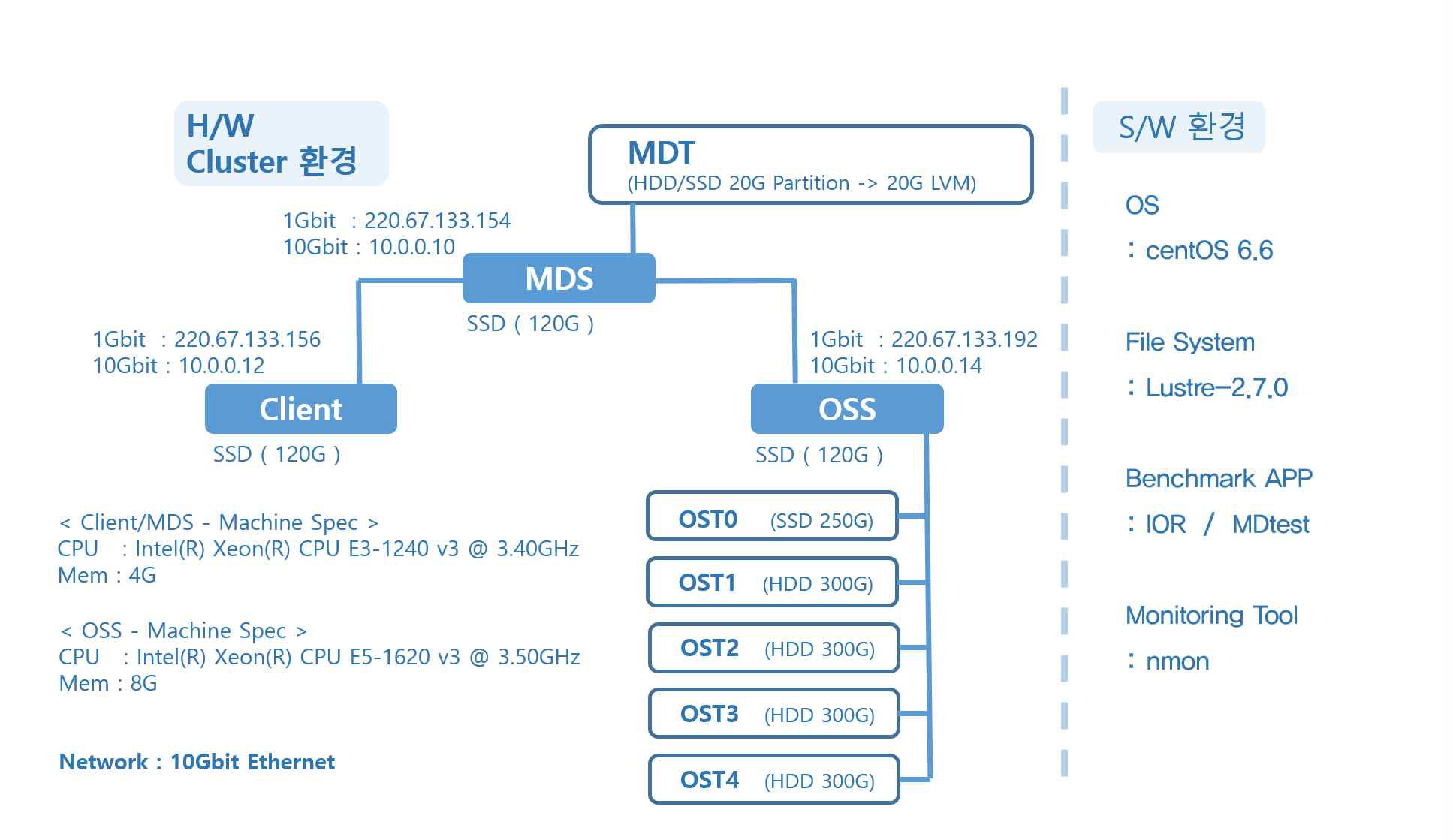 Lustre File System Cluster environment