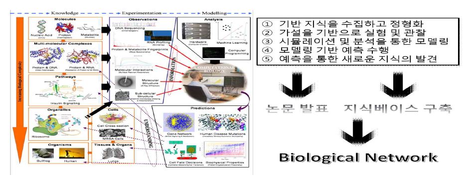 생의학 분야 기반 연구 과정