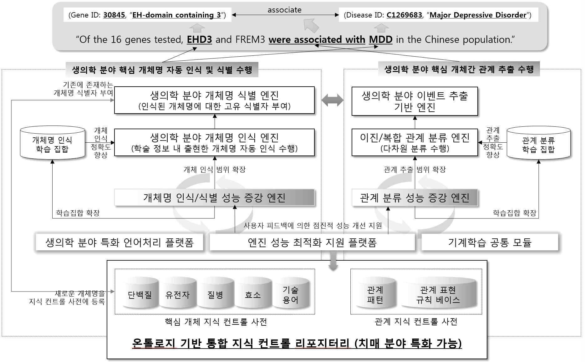 생의학 분야 개체명 인식, 식별, 관계 추출 기반 엔진 구성도