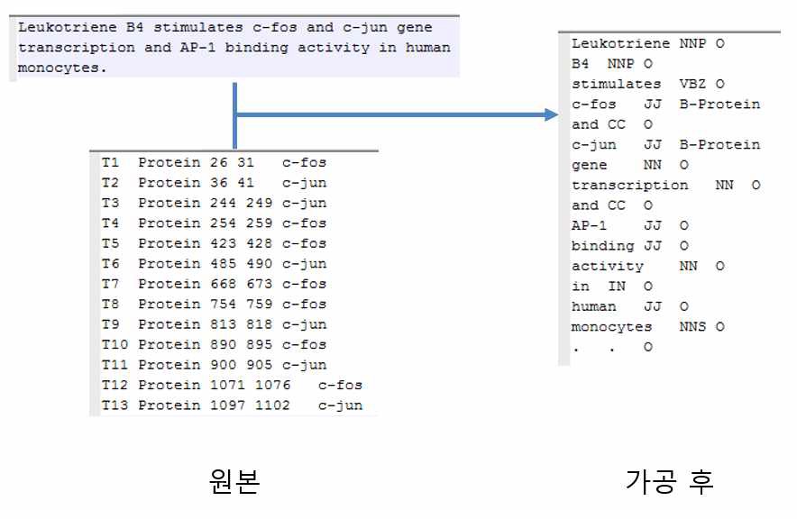 원본 corpus와 가공된 data의 예