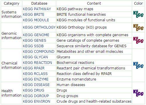 KEGG 데이터베이스 구조