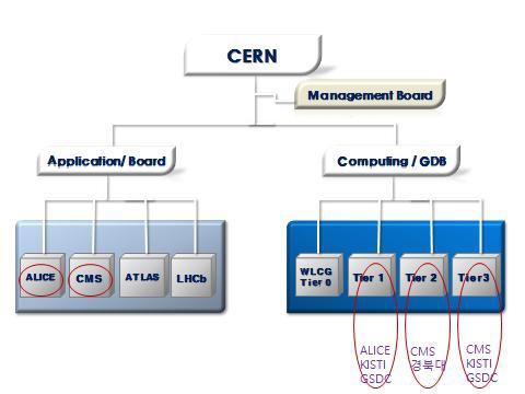 CERN의 조직 구조