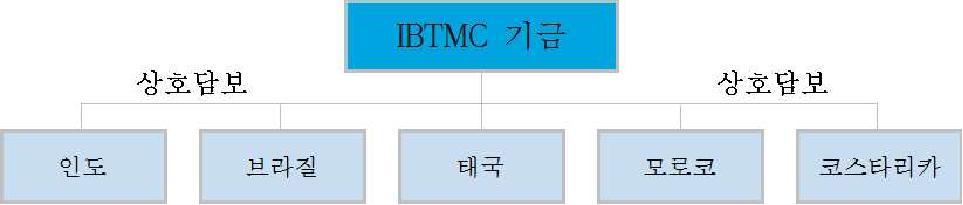 IBTMC 기금 구조