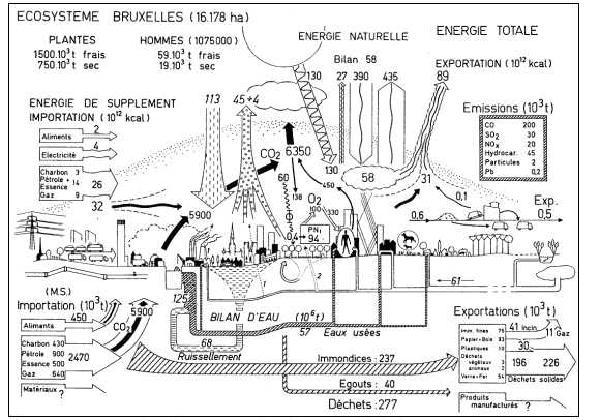 The study of urban metabolism and its applications to urban planning and design