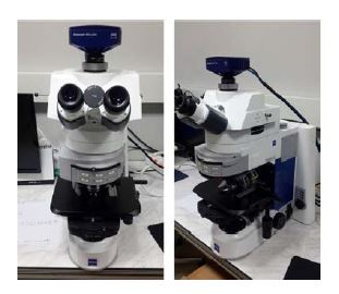 그림 3-2-2. 표본 동정 및 형질 관찰을 위한 현미경