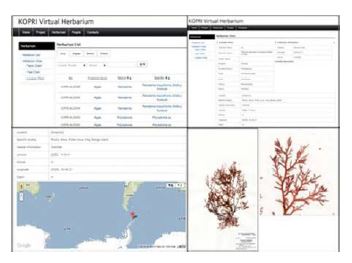 그림 3-2-8. KOPRI Virtual Herbarium (http://kvh.kopri.re.kr/main/main.php)