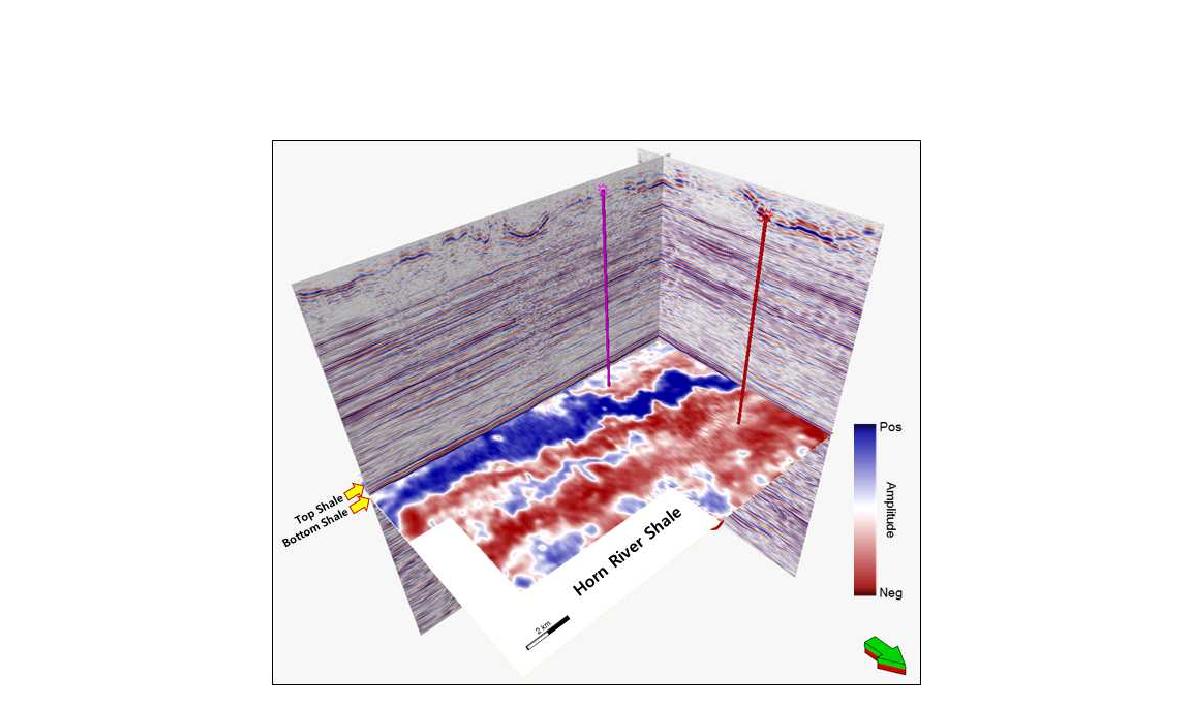 Conventional 3D seismic amplitude volume acquired in Horn River Basin, Canada.