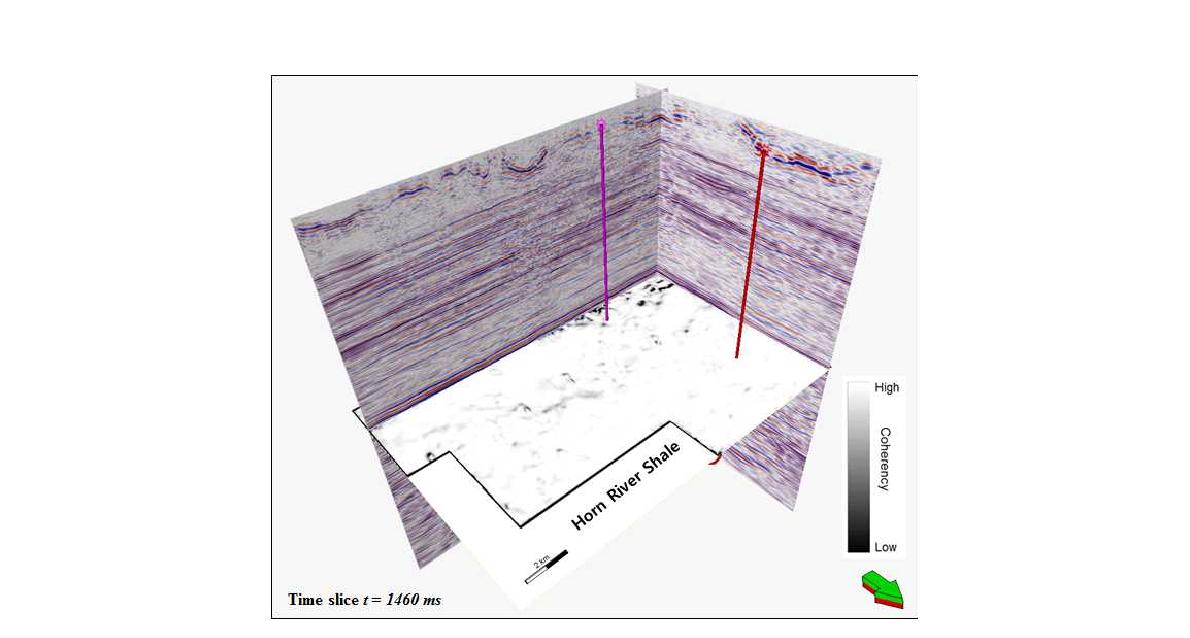 Variance attribute (Semblance Coherence) of 3D seismic data from Horn River Basin, Canada.