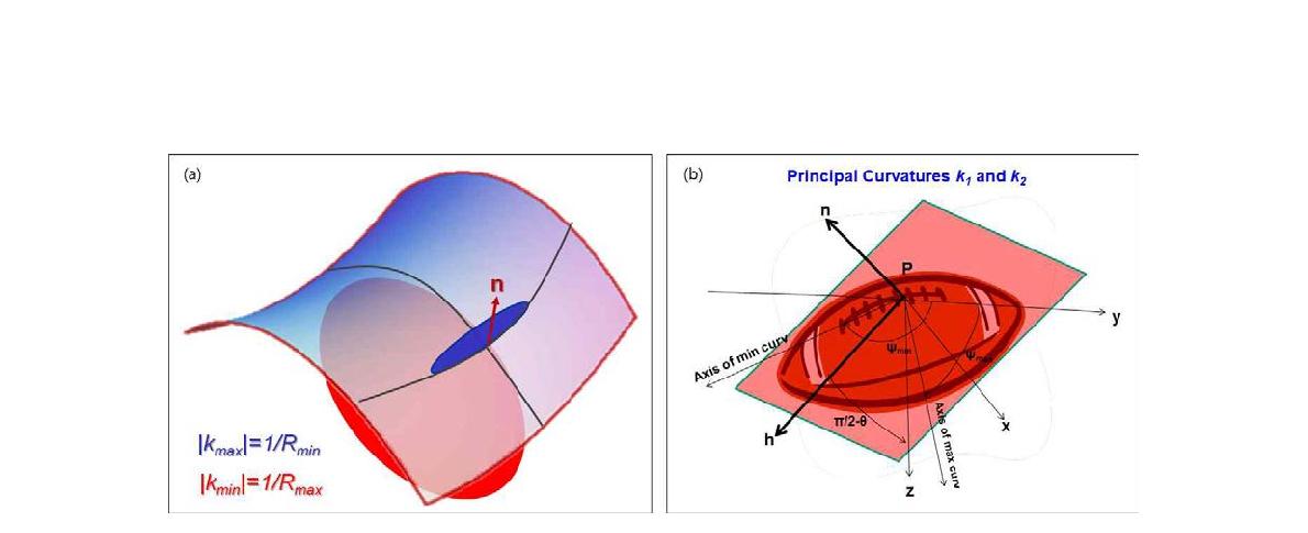 (a) A quadratic surface with the normal, n, defined at point P (after Mai et al., 2009). The circle tangent to the surface whose radius, R, is minimum defines the magnitude of the maximum curvature, |kmax|≡1/Rmin (in blue). The planeperpendicular to that containing the previously defined blue circle will contain one whose radius is maximum, which defines the magnitude of the minimum curvature, |kmin|≡1/Rmax (in red). (b) Concept of  and  most principal curvatures.