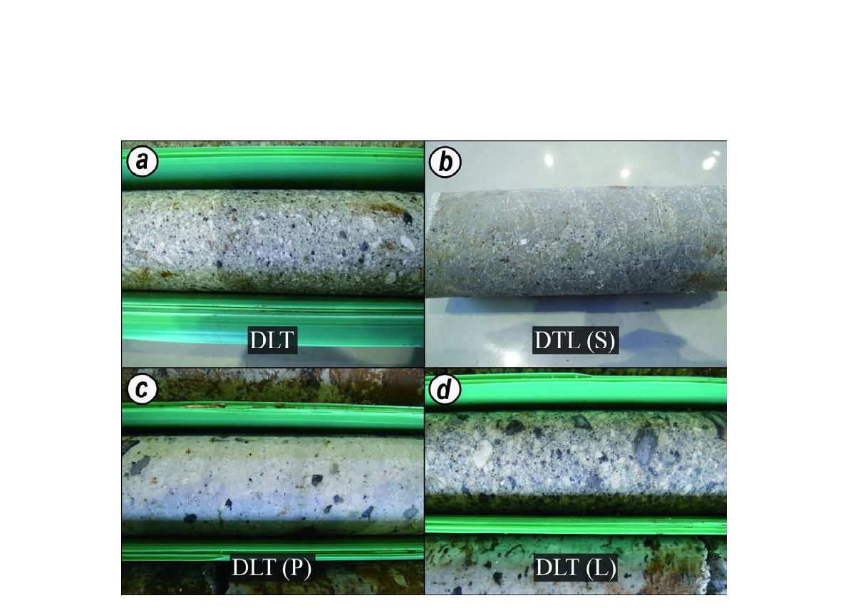 (a) Dacitic lapilli tuff contained unsorted various volcanic clastics and pumices. (b) Dacitic tuffaceous soap stone. (c) Pumiceous dacitic lapilli tuff