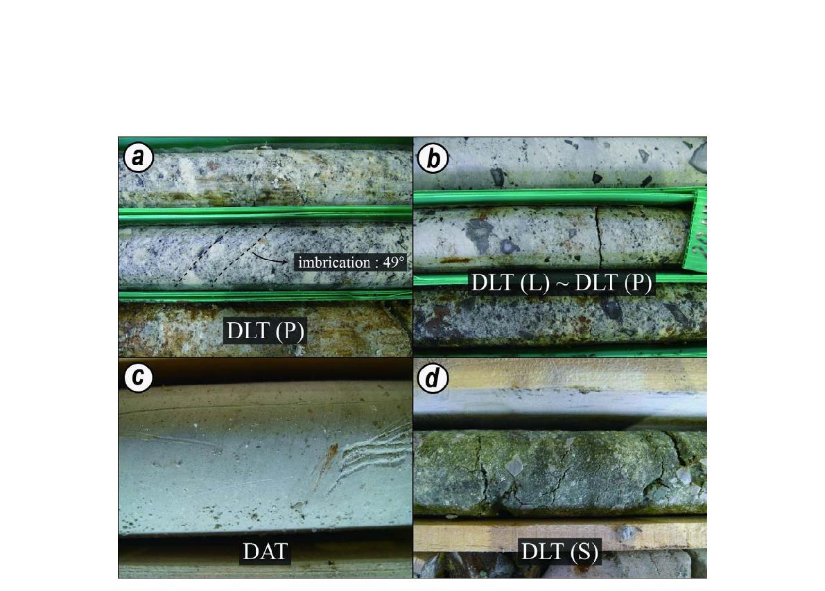 (a) Pumiceous dacitic lapilli tuff containing lithic fragments that show planar array (Drill hole 35-1). (b) Dacitic tuff, transition zone, and pumiceous dacitic tuff from lower to upper (Drill hole 35-2). (c) Dacitic ash tuff consisting predominantly well sorted ash (Drill hole 35-8). (d) Dacitic lapilli tuff (soap stone type) contained significantly altered volcanic clastics (Drill hole 35-5)